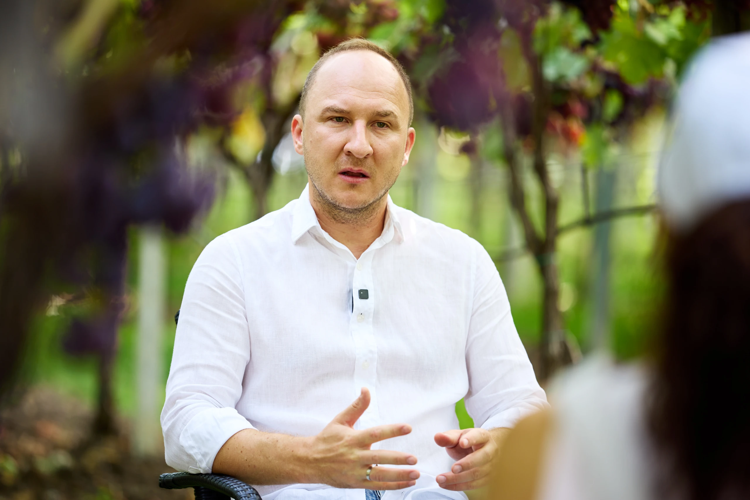 A man in a white shirt gestures while speaking, seated among purple grapevines outdoors.