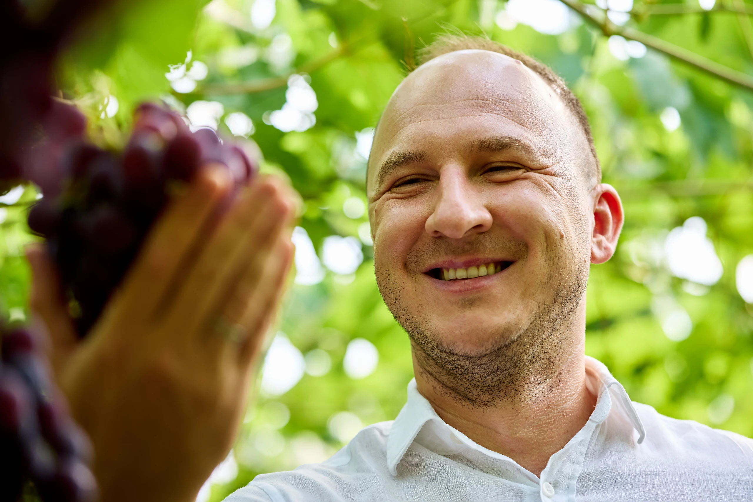A smiling man in a white shirt holds up a bunch of dark red grapes among green vine leaves.