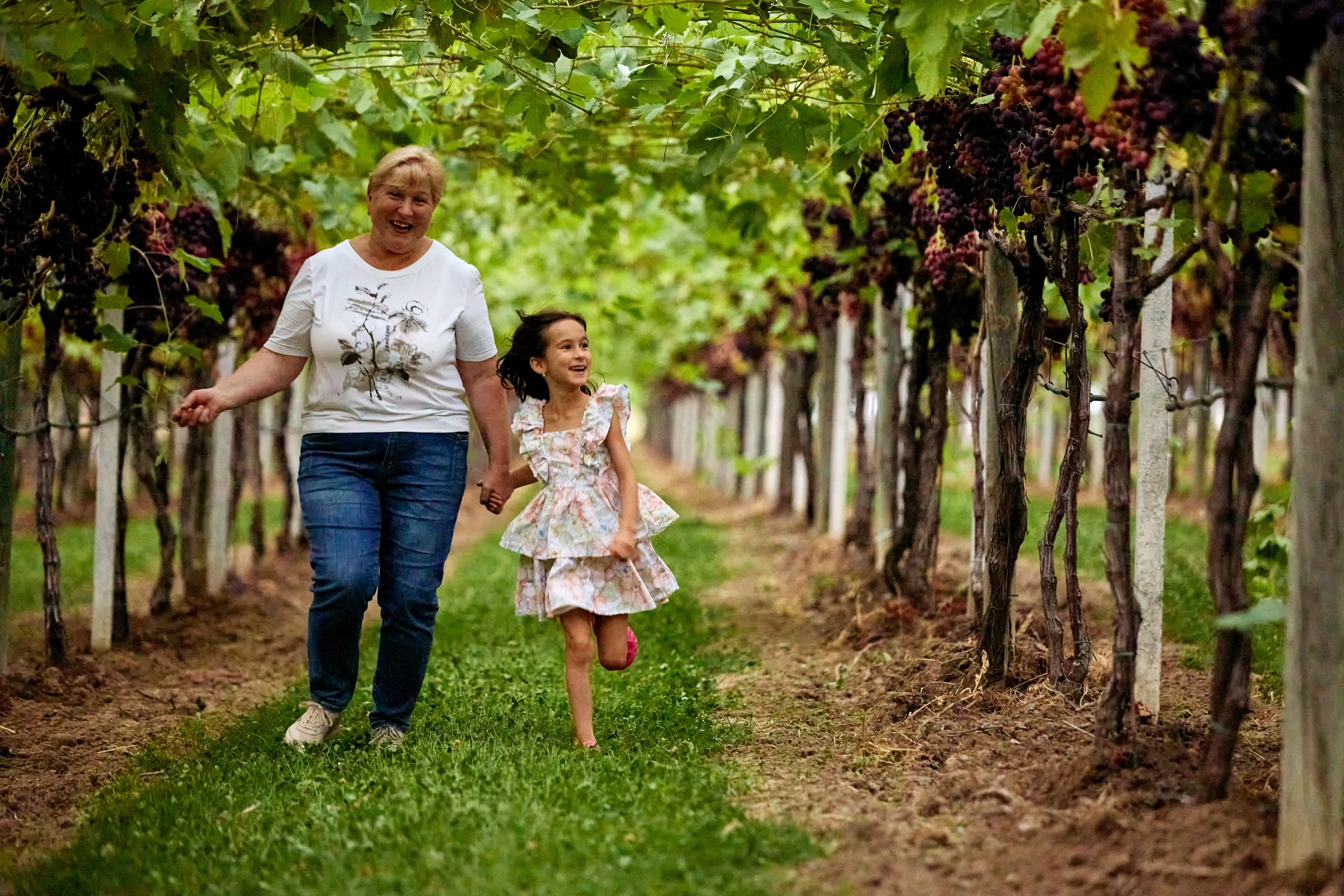 A smiling woman in a white top and jeans holds hands with a young girl in a floral dress as they walk down a grassy path between grapevines heavy with dark grapes.