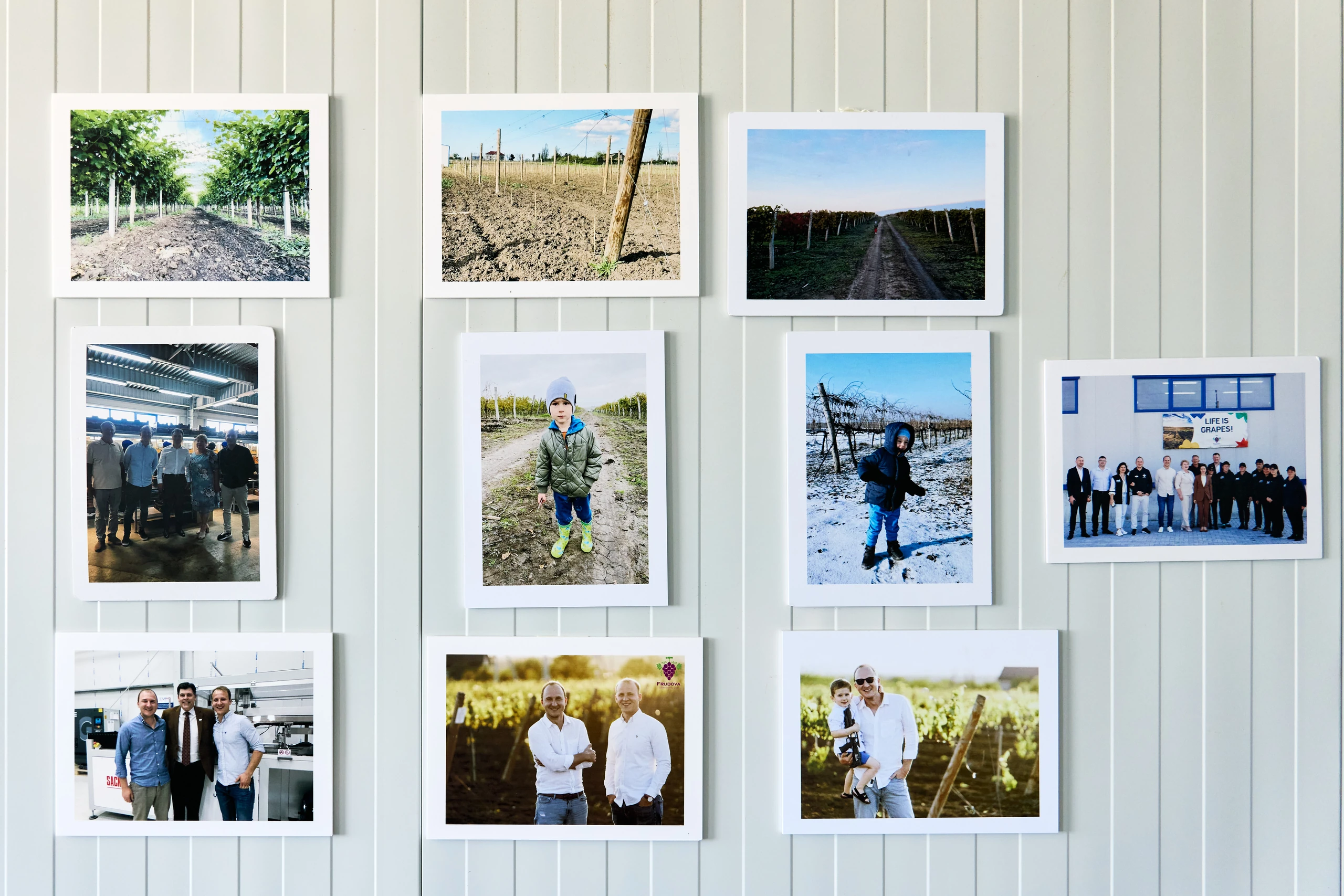 Ten framed photos on a white wall showing vineyard rows, a child in a vineyard, workers, and groups of people in front of a building.