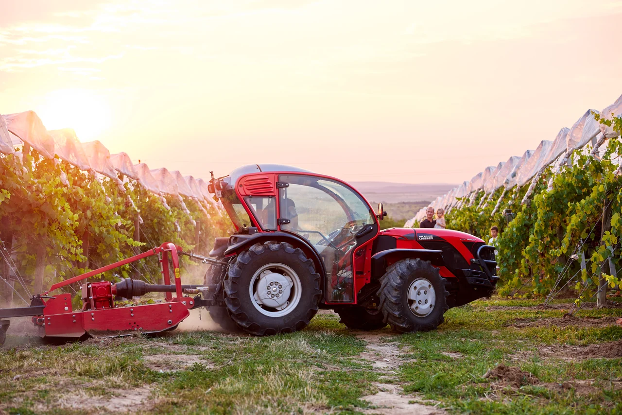 Narrow vineyard tractor mowing between rows at sunset